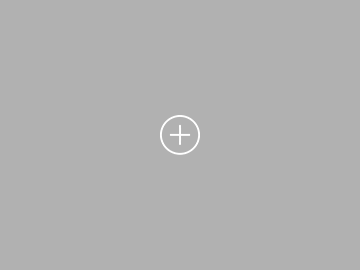 honor_h